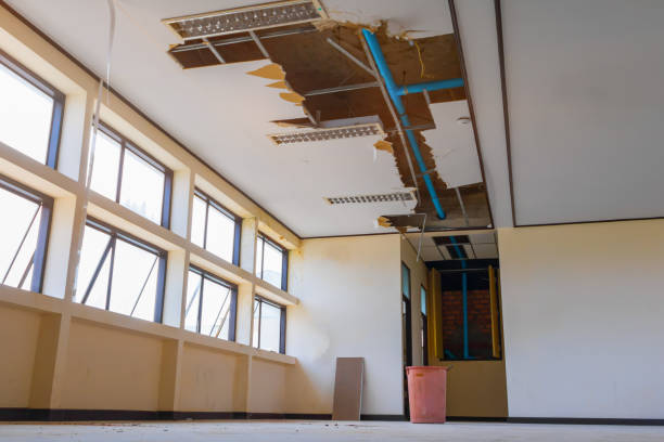 Best Ceiling water damage repair  in Christiana, TN