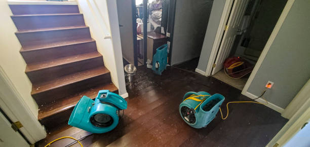 Best Water damage contractors near me  in Christiana, TN