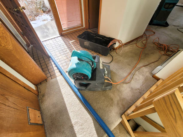 Best Fire Damage Restoration  in Christiana, TN