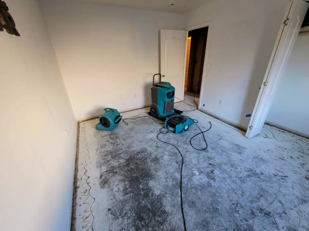 Best Mold removal after water damage  in Christiana, TN
