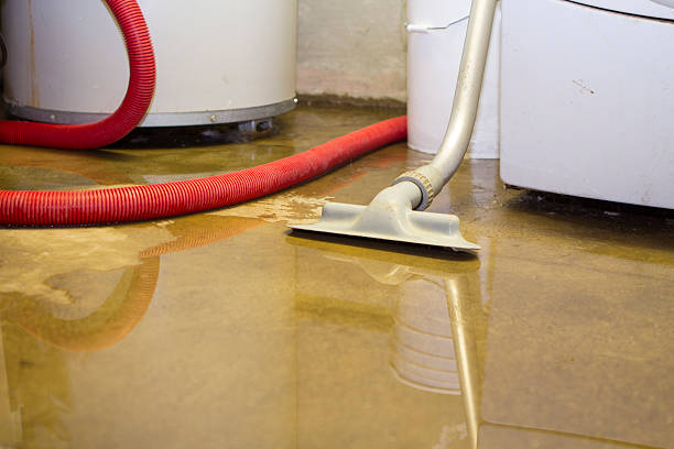 Best Water damage contractors near me  in Christiana, TN