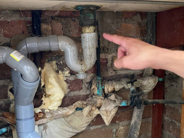 Best Flooded house restoration  in Christiana, TN