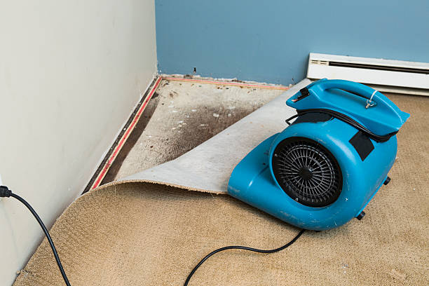 Best Local water damage restoration  in Christiana, TN